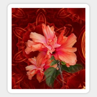 Orange hibiscus and vibrant kaleidoscope Sticker